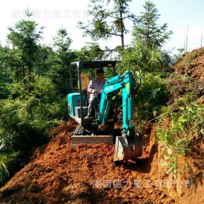 云南德力重工DL15-8挖掘機,園林挖掘機，微型挖掘機，迷你挖掘機