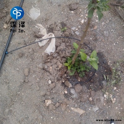 山西忻州果樹滴灌霈澤50L穩(wěn)流器農(nóng)田灌溉PE管廠家