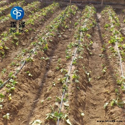 河北藁城霈澤農(nóng)田灌溉滴灌管   16灌溉PE管