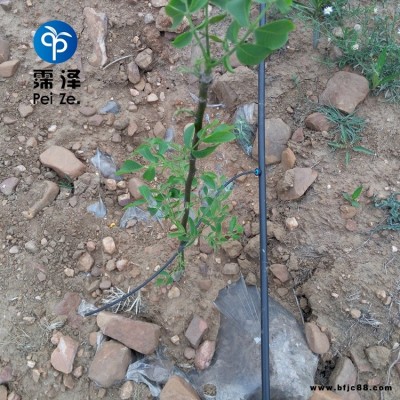 山西忻州園藝滴灌霈澤50L穩(wěn)流器20PE管價(jià)格