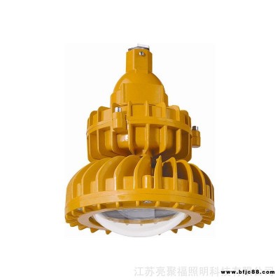 防爆LED燈20W粉塵隔爆型LED防爆燈30W船舶防爆工礦燈40W