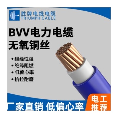 勝牌電線電纜BVV 10平方雙皮單芯純銅芯硬線家裝進戶主線工程電線