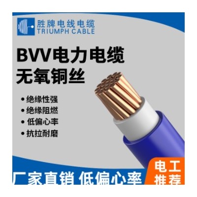 勝牌電線電纜BVV0.6mm 硬護套線家用布電線家裝電線銅芯電纜