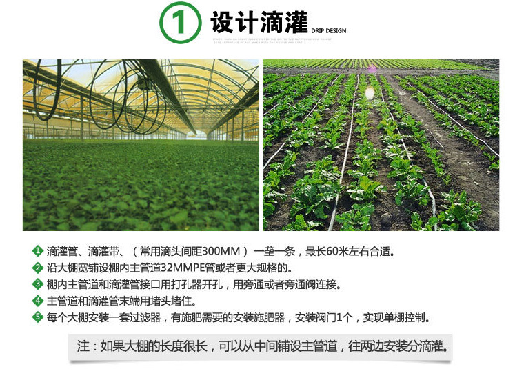 四川溫室大棚種植羊肚菌吊掛微噴  降溫設(shè)備廠家微噴頭微噴pe管示例圖17