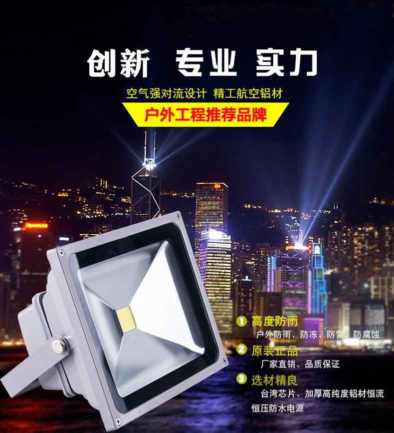 廣告射燈亮化工程led投光燈50W 綠化園林照樹燈外墻投射燈示例圖2