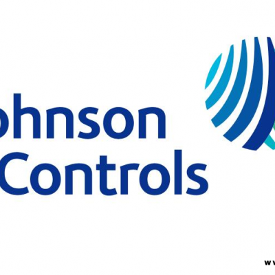 特賣JOHNSON CONTROLS自力式調節閥V46BT-9300