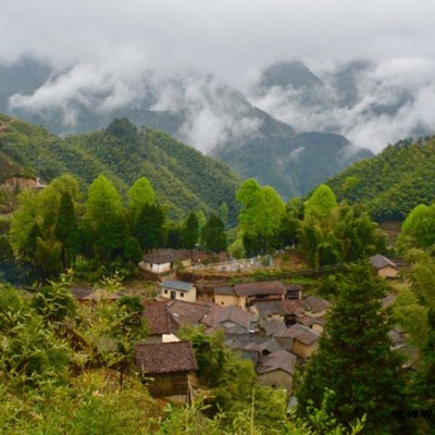 選擇鴻山裝飾省心(圖)-鄉村改造生態稻草泥-深圳稻草泥