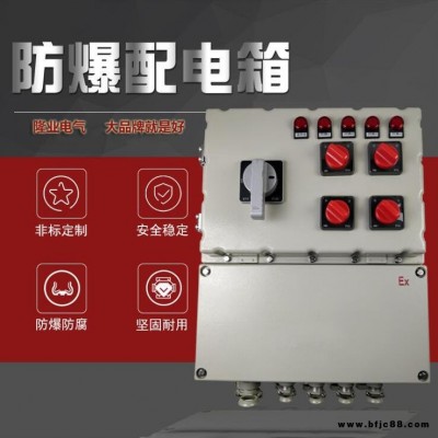 隆業電氣-非標三相防爆配電柜接線箱，定制特殊防爆配電箱，資質齊全