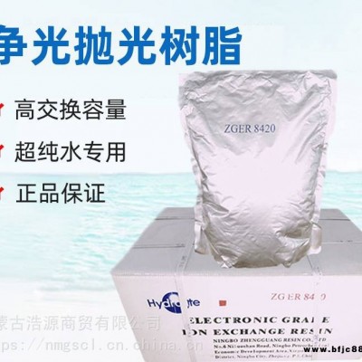 拋光樹脂 爭光樹脂拋光樹脂ZGER8420電子級混床超純水樹脂5L醫院實驗室 陰樹脂