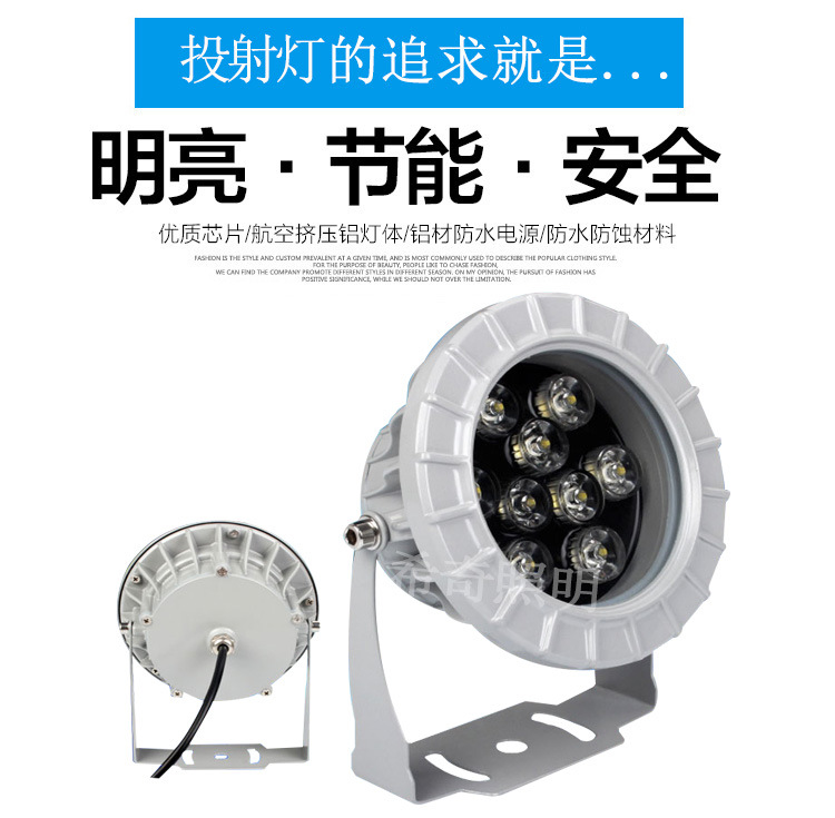 廠家批發led投光燈3W6W9W12W18W聚光燈廣告燈廣場led投射燈戶外示例圖1