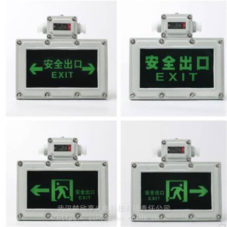 BYY煤礦用防爆應急標志燈 防爆疏散指示燈 粉塵防爆雙頭應急燈
