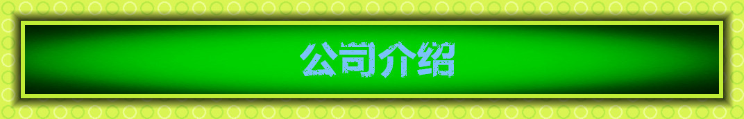 方形景觀燈 庭院燈 LED戶外燈 公園廣場園林綠化別墅路燈示例圖133