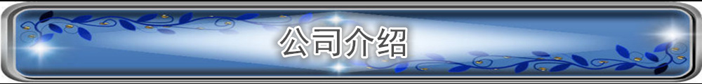 精品景觀燈戶外3米公園廣場別墅路燈花園燈高桿燈LED庭院燈防水燈示例圖18