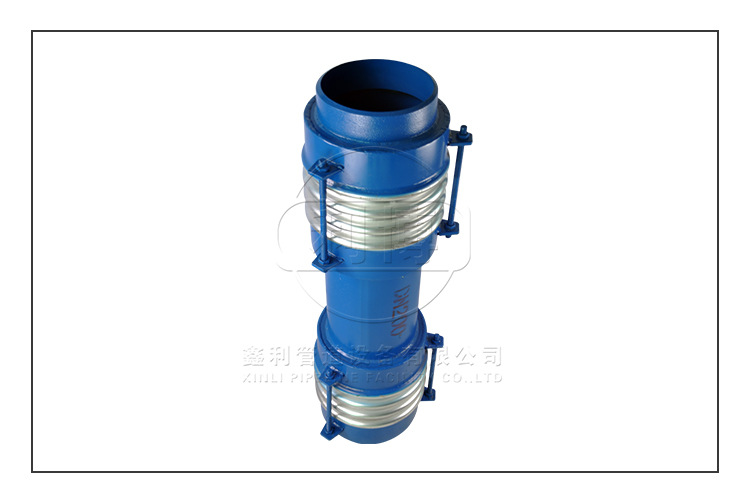 304鉸鏈橫向波紋管補償器  JJH DN50鉸鏈橫向波紋管 天津示例圖6
