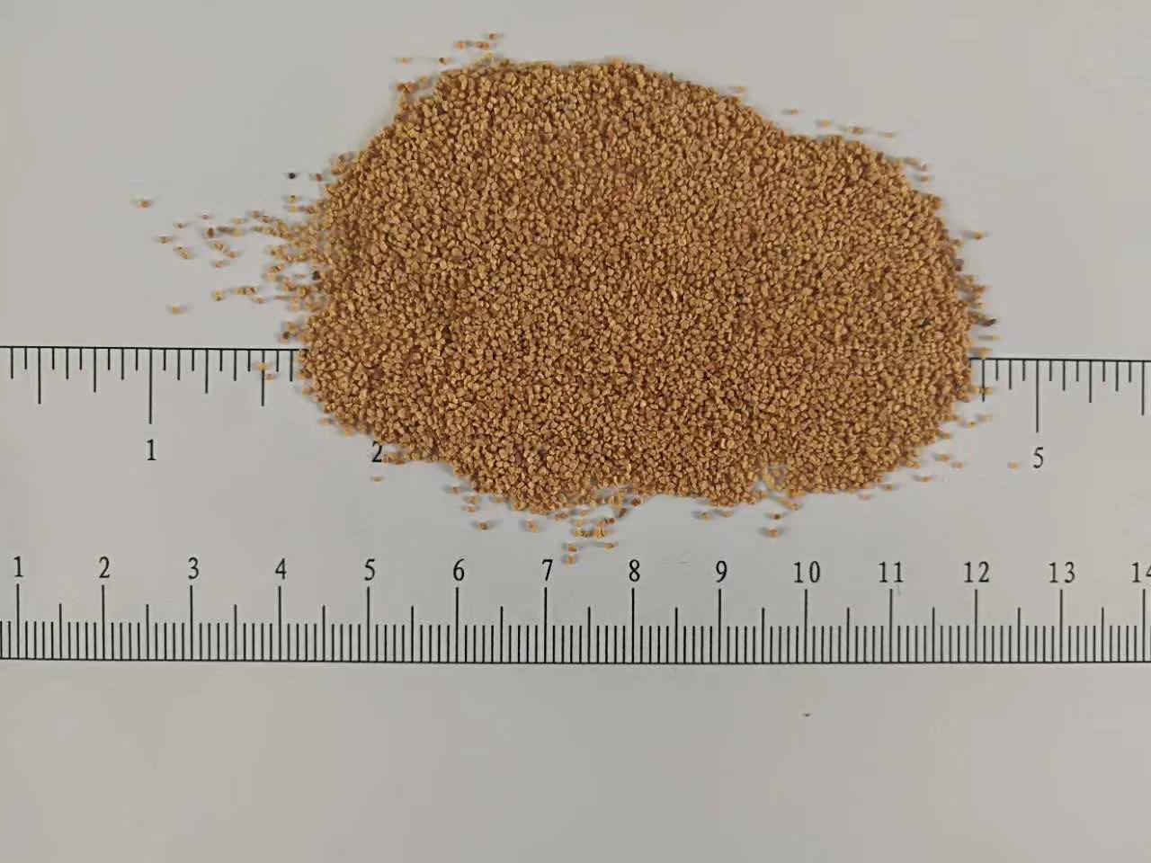 核桃殼拋光磨料各種型號  核桃殼濾料磨料  常年供應 碧之源