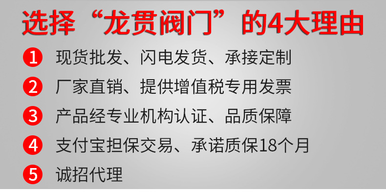 倒流防止閥 法蘭防污隔斷閥止回閥 DF41倒流防止閥大體示例圖3