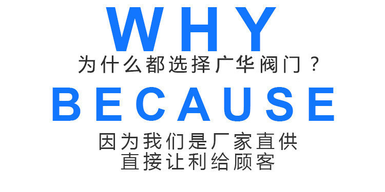 304不銹鋼立式止回閥 內(nèi)螺紋彈簧式單向閥 H12W-1000WOG逆止閥示例圖10