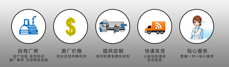 廠家批發(fā)不銹鋼止回閥 逆止回閥 硬密封對(duì)夾止回閥示例圖7