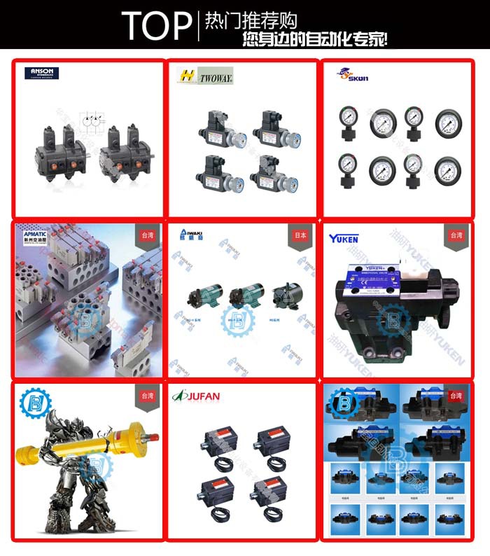 導關止回閥PO-063-X**N導關止回閥CPO-063-X**N臺灣盤龍止回閥示例圖1