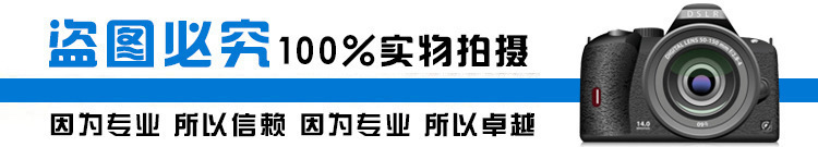 調節閥廠家精品展示T960H電動回轉式調節閥 壓力調節閥示例圖2