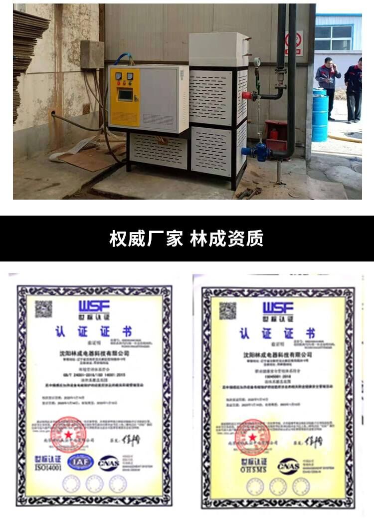 沈陽電磁鍋爐  林成電磁采暖爐 變頻電磁鍋爐 壁掛爐示例圖18