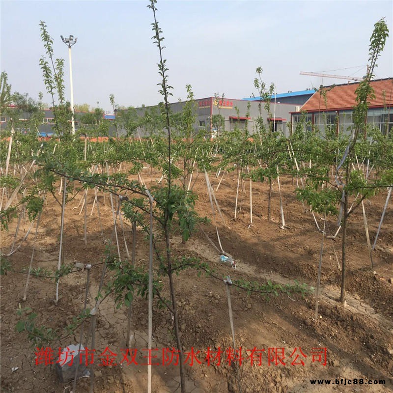 鋁箔面自粘聚合物瀝青防水卷材 免火烤1.5mm厚鋁箔面自粘防水卷材